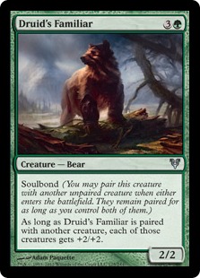 Druid's Familiar Druid's Familiar