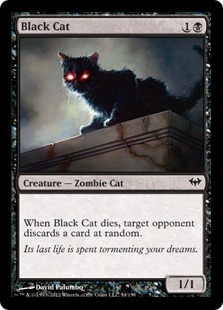 Black Cat - Click Image to Close