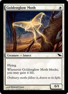 Goldenglow Moth